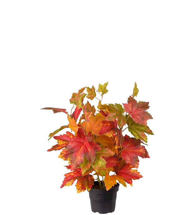 Høstlønn, kunstig plante