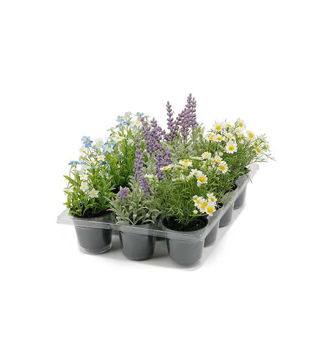 Sommerblomster mini