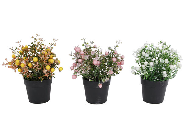 Blomst i potte