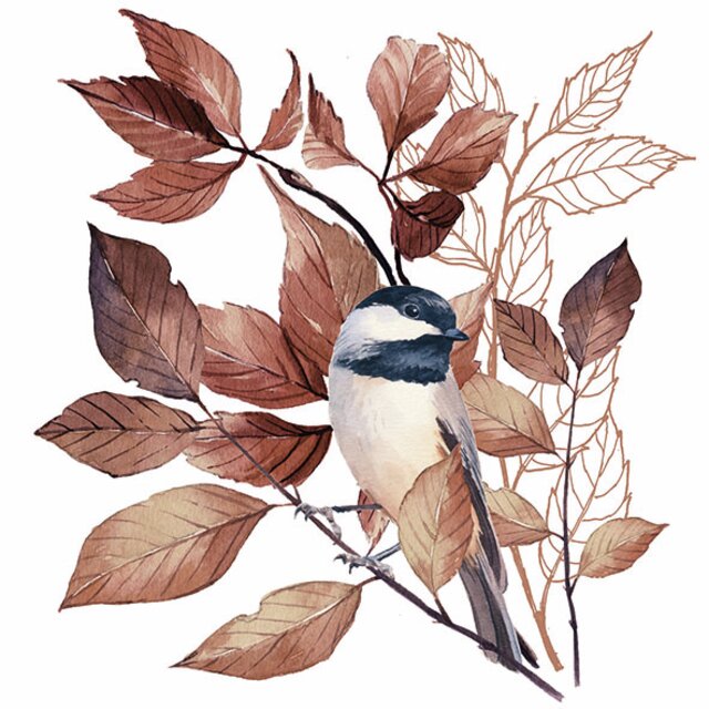 Lovely chickadee, servietter