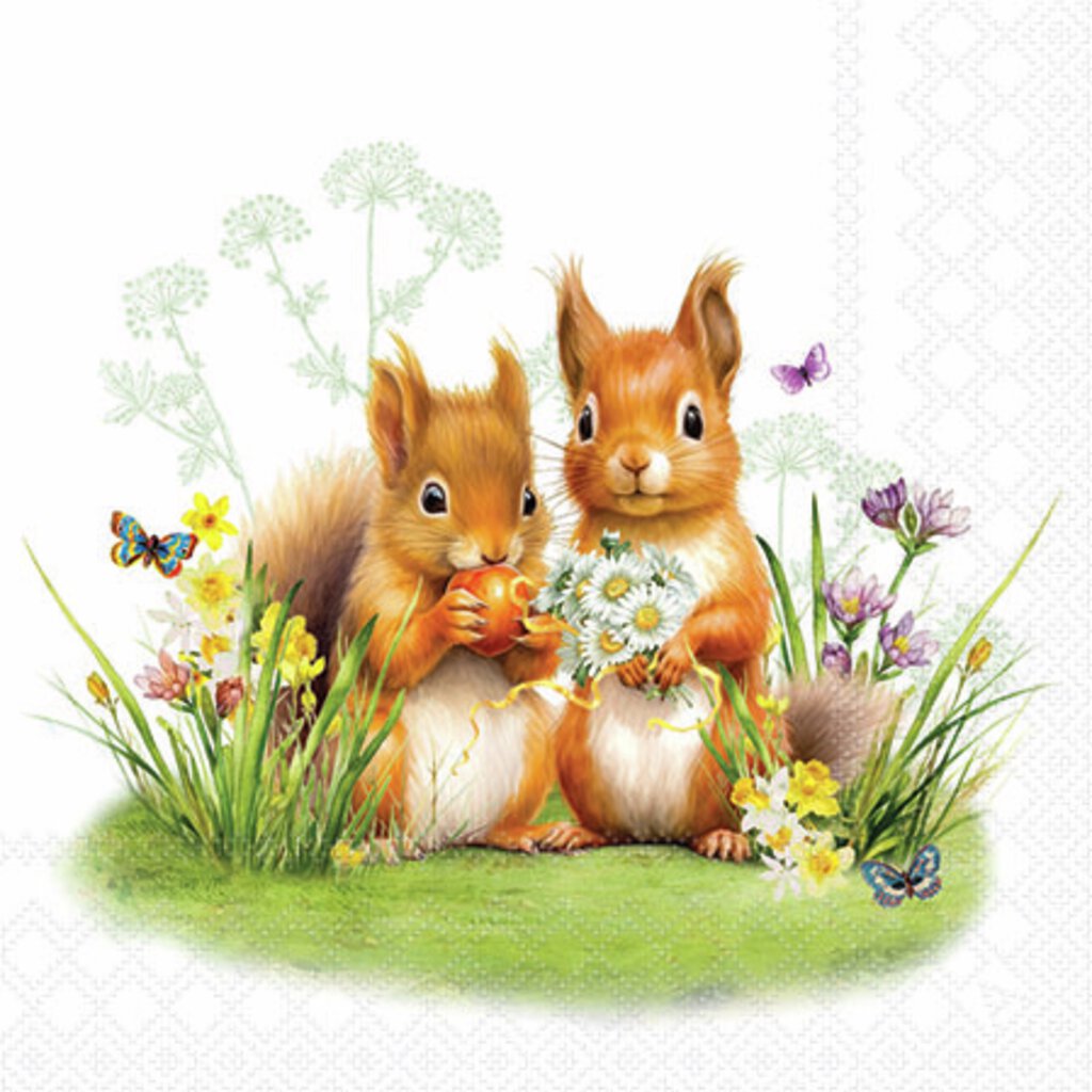 Kaffeservietter - Little squirrels