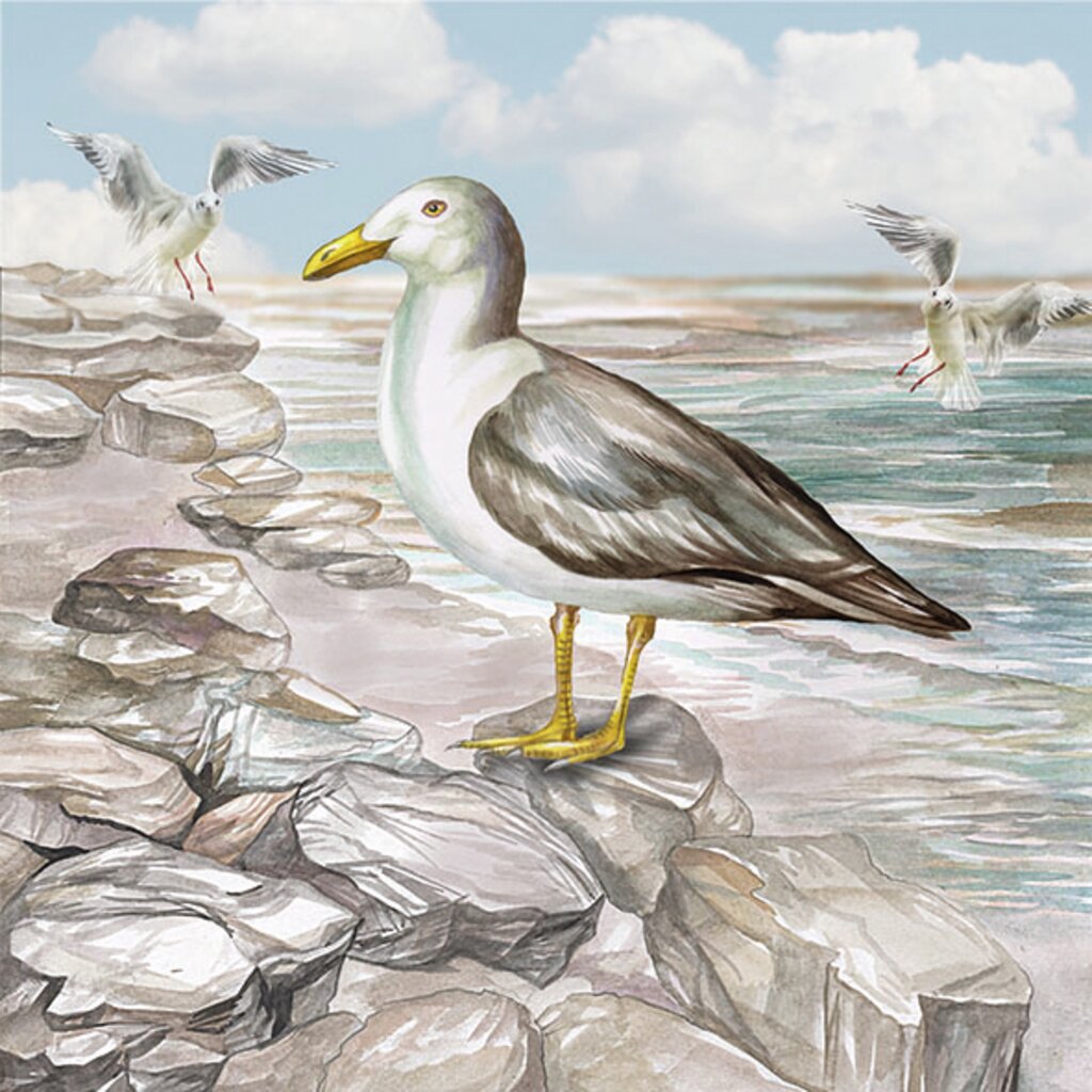 Servietter, seagull on the shore