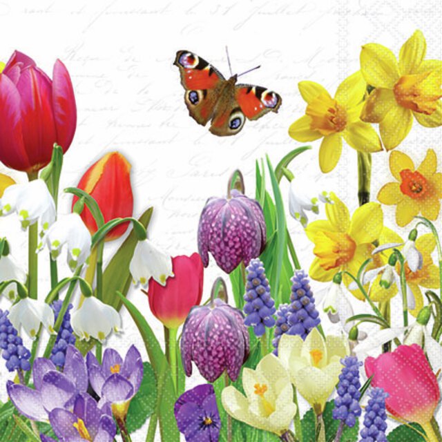 Kaffeservietter - spring feeling