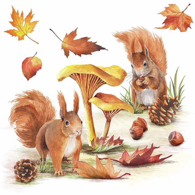 Squirrels go nuts, servietter