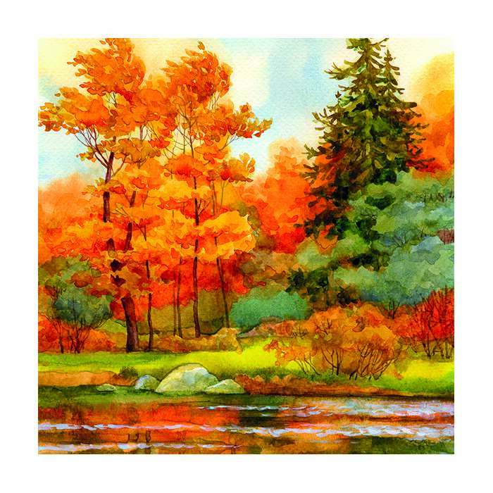 Forest lake, servietter