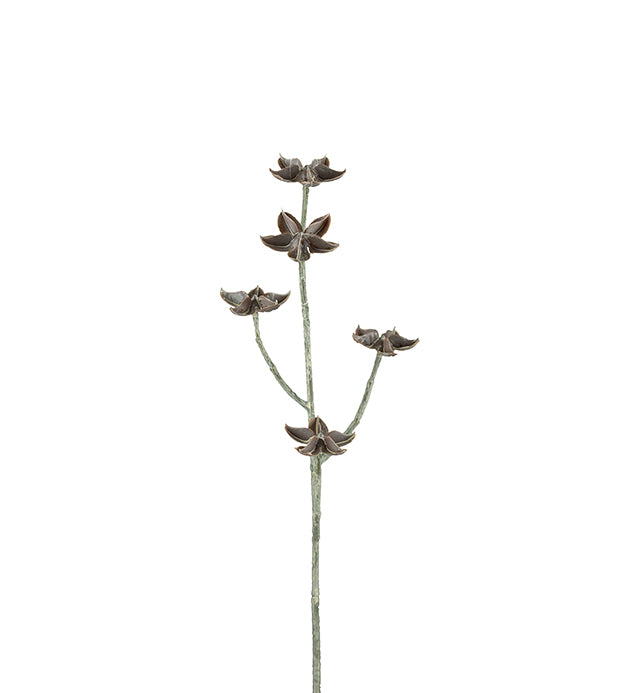Eternell brune blomster