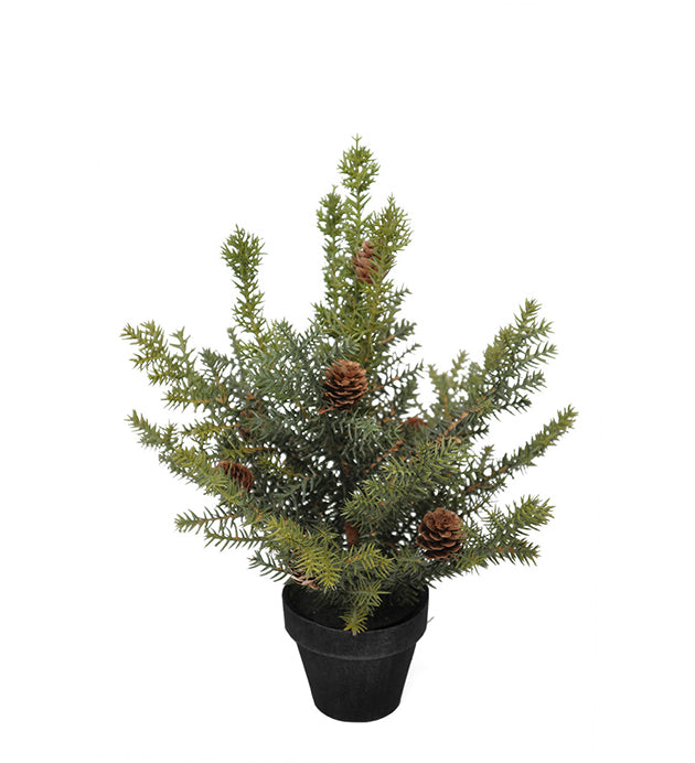 Gran potteplante. 35cm