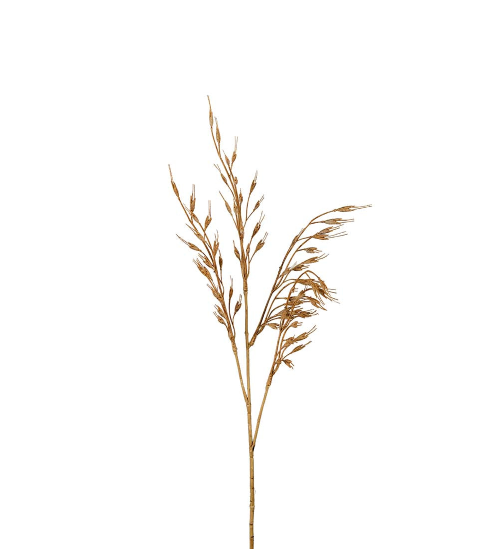 Gress brun 65cm