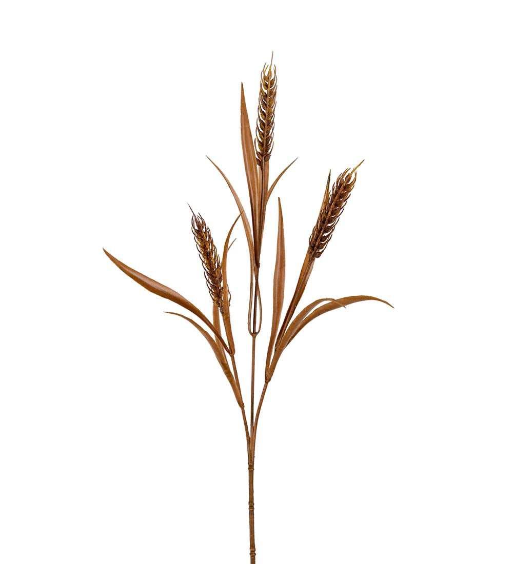 Hvetekvist brun 65cm