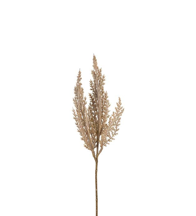 Pampas 35cm