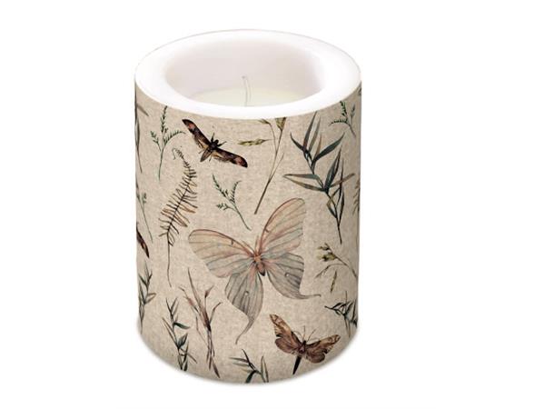 Kubbelys med motiv, moths