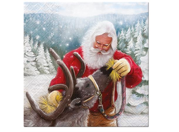 Serviett feeding reindeer