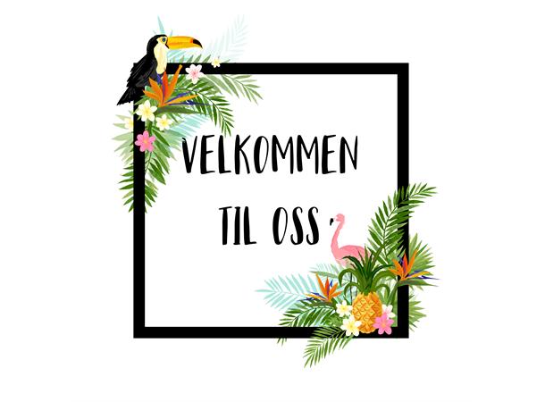 Servietter, velkommen til oss