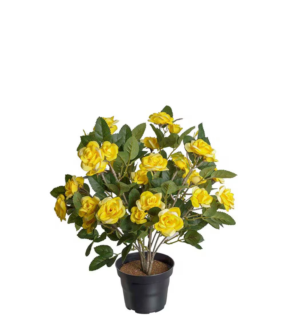 Kunstig plante, Roser