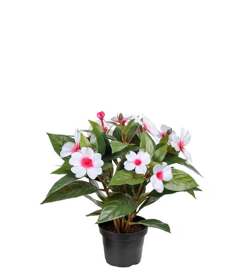 Kunstig plante, Lykkelig Lotta