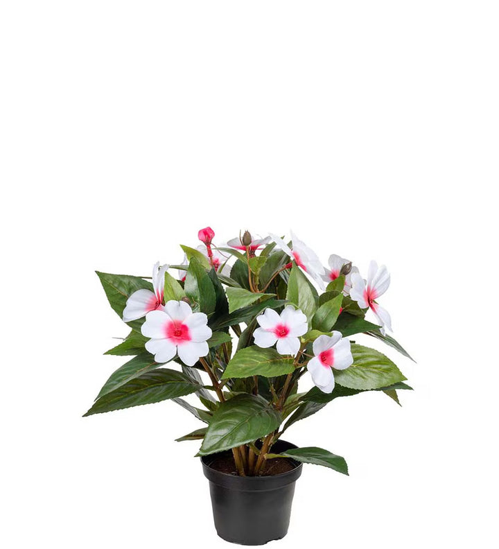 Kunstig plante, Lykkelig Lotta