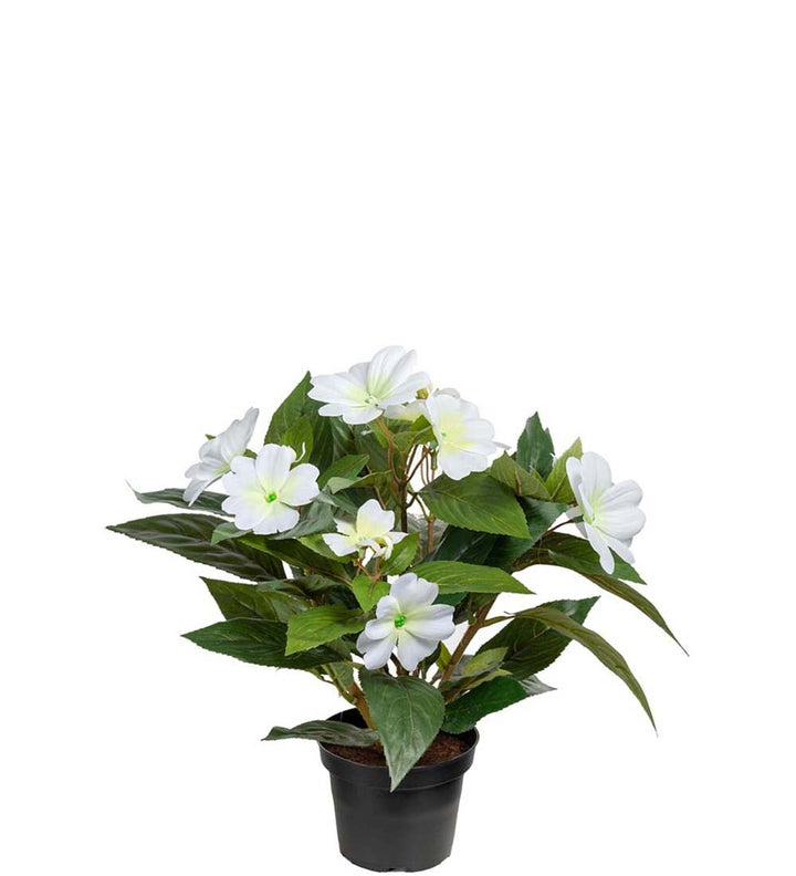 Kunstig plante, Lykkelig Lotta