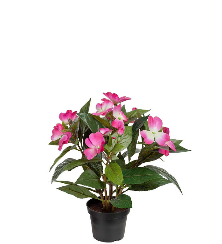 Kunstig plante, Lykkelig Lotta