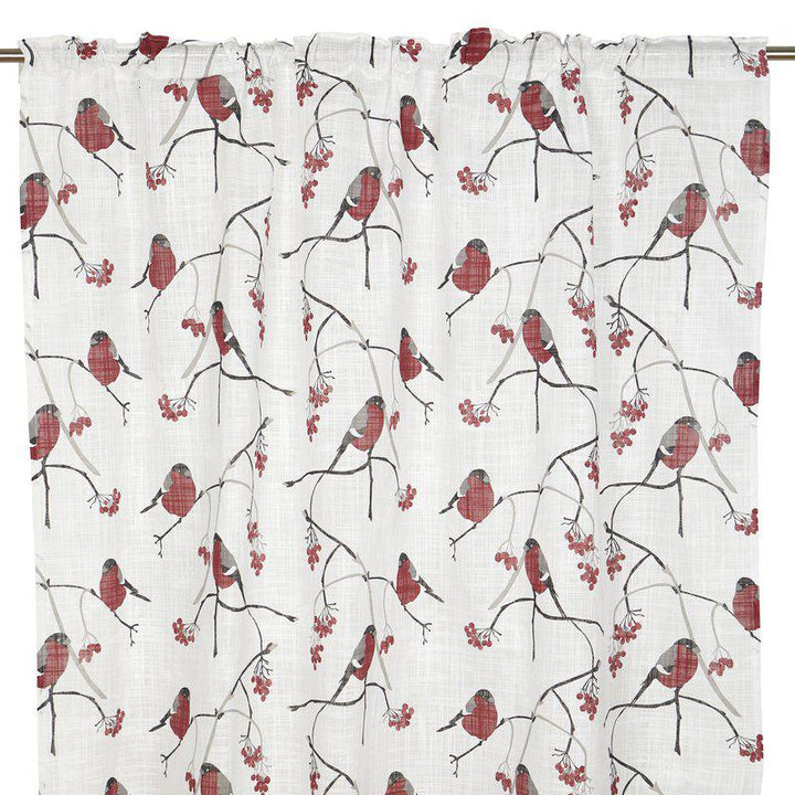 Domherre gardinhøyde