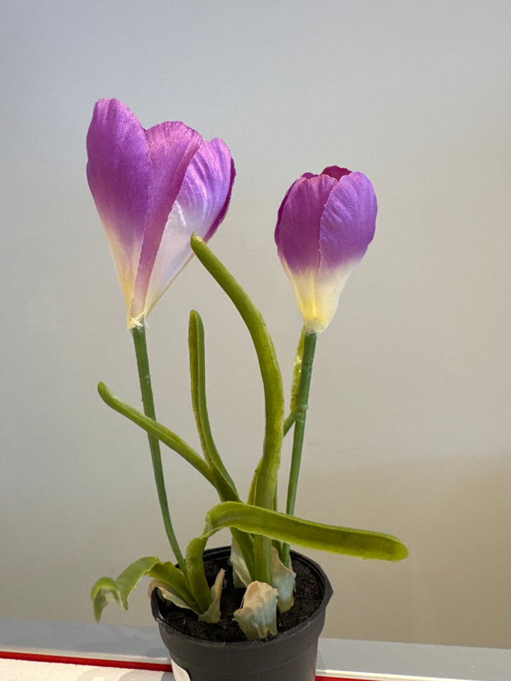 Kunstig plante, Crocuss