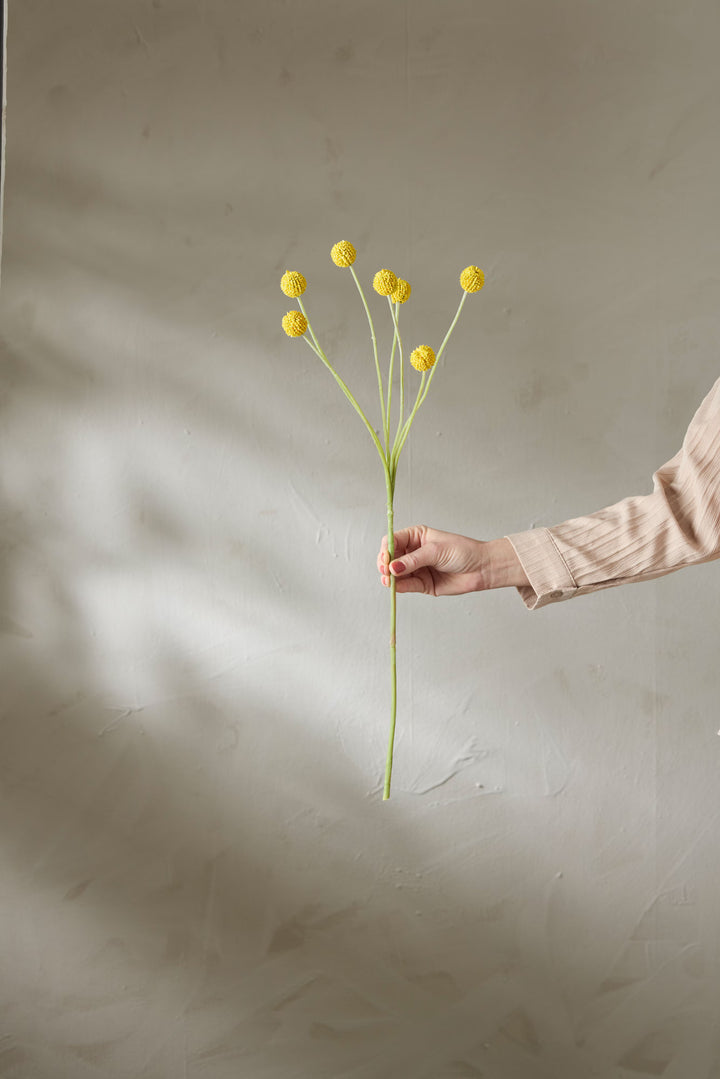 Kunstig plante, Craspedia