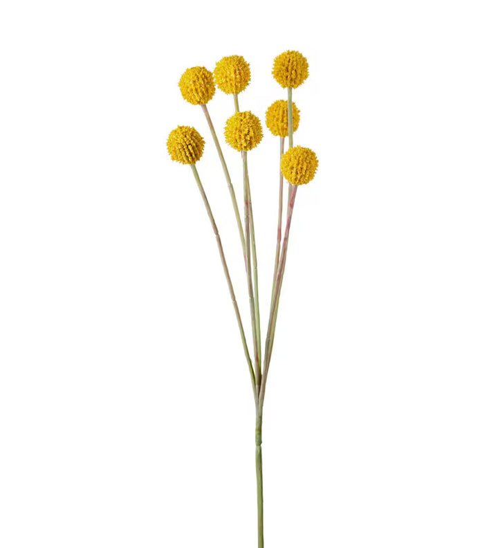 Kunstig plante, Craspedia