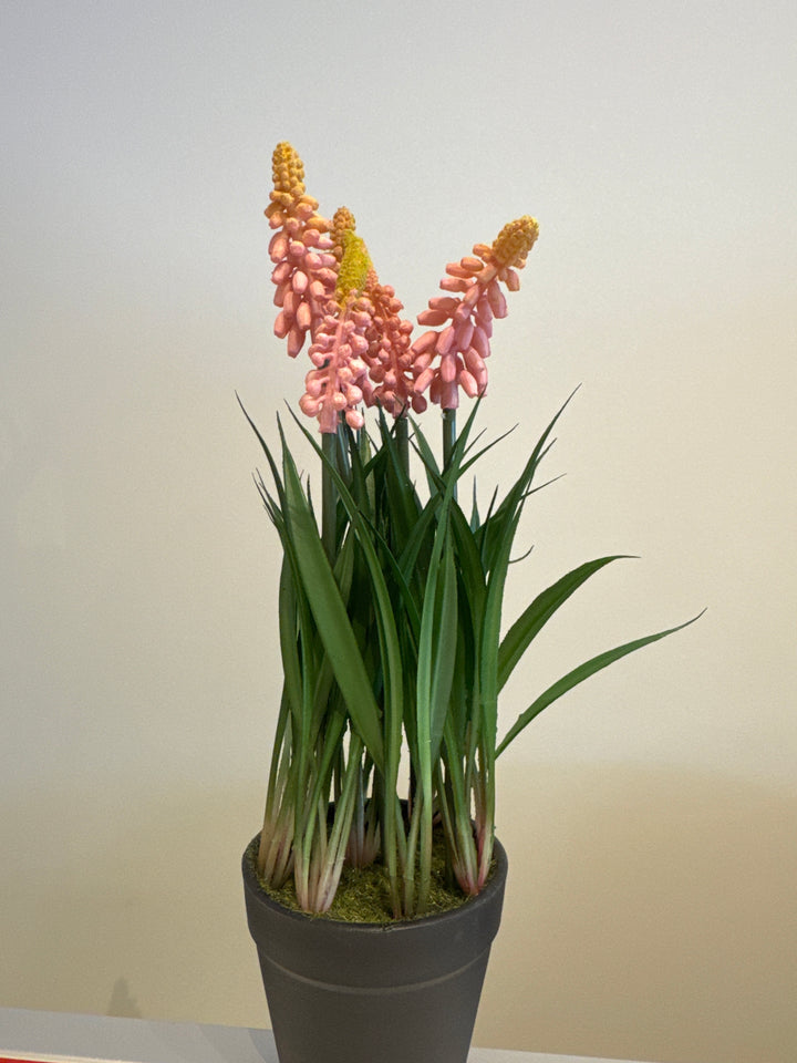 Kunstig plante, Perlehyasint