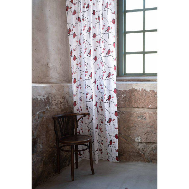 Domherre gardinhøyde