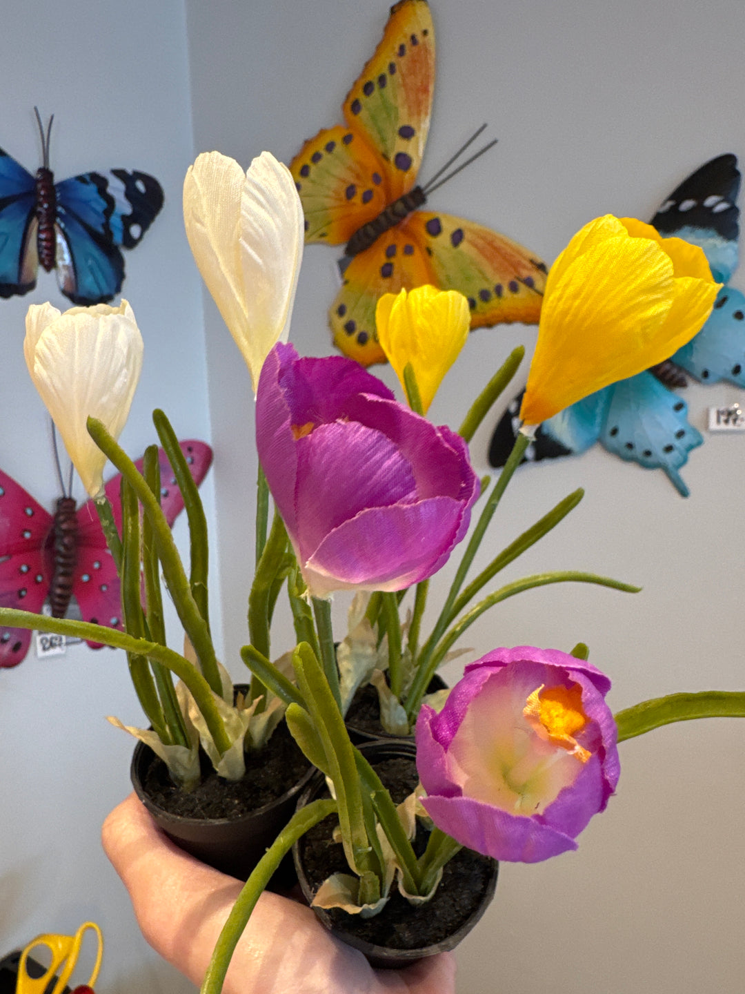 Kunstig plante, Crocuss