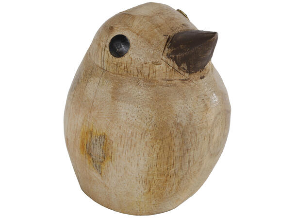 Fugl mangotre