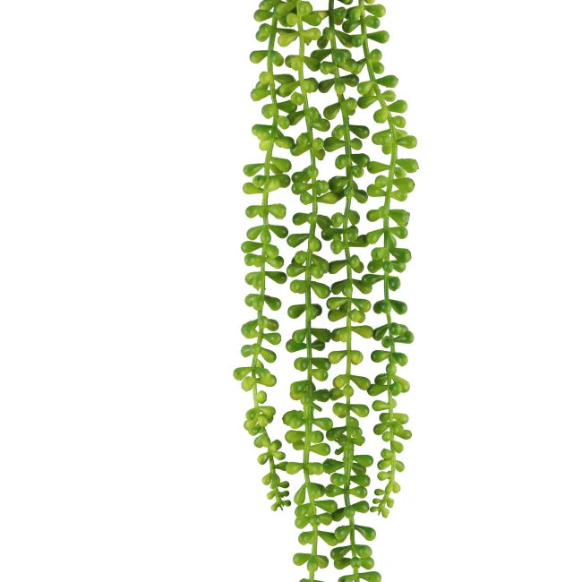 Hengende sukkulent 78cm