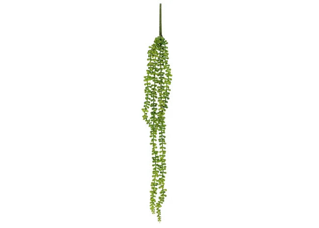 Hengende sukkulent 78cm